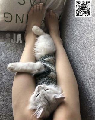 剑来动漫高清在线观看_成长在线视频免费观看